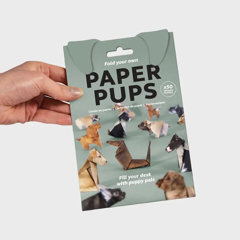 😻✨Easy DIY Paper Cats Kit | Guided Lines & Instructions Included 🎁Buy More Save More