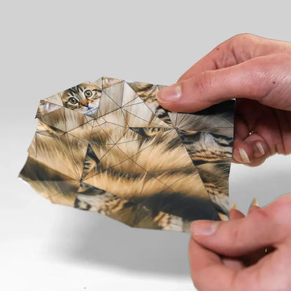 😻✨Easy DIY Paper Cats Kit | Guided Lines & Instructions Included 🎁Buy More Save More