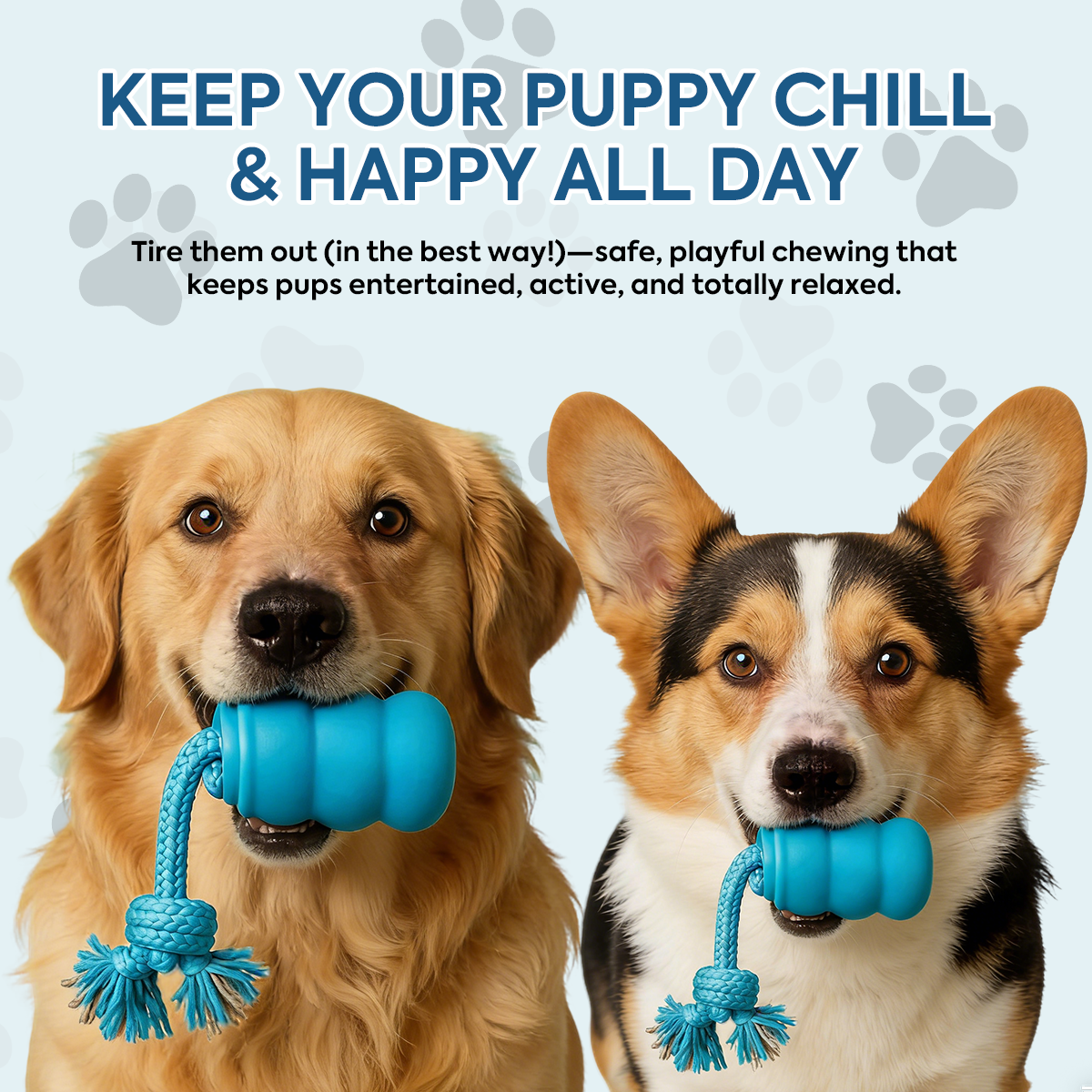 Smart Dog Toy That Keeps Your Best Friend Company