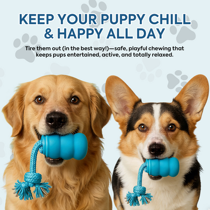 Smart Dog Toy That Keeps Your Best Friend Company