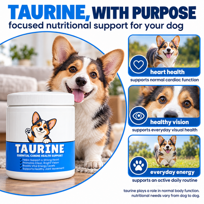 Dog Taurine Nutritional Supplement for Respiratory Support
