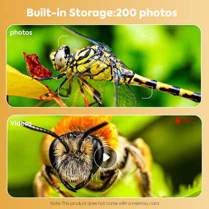 4K Discovery Microscope