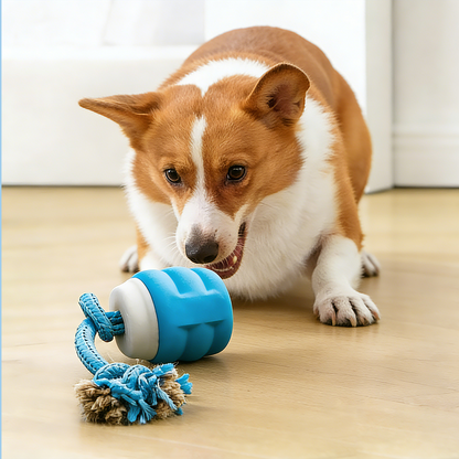 Smart Dog Toy That Keeps Your Best Friend Company
