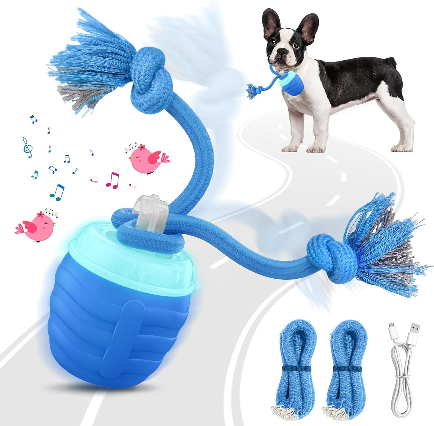 Smart Dog Toy That Keeps Your Best Friend Company