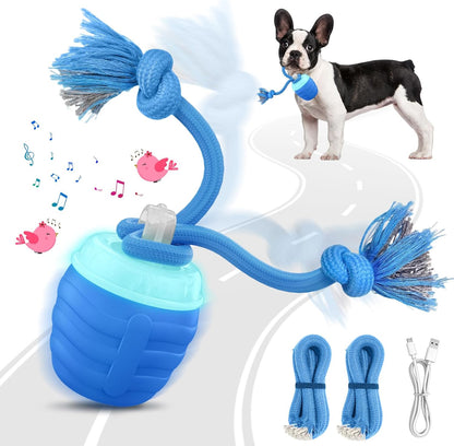 Smart Dog Toy That Keeps Your Best Friend Company
