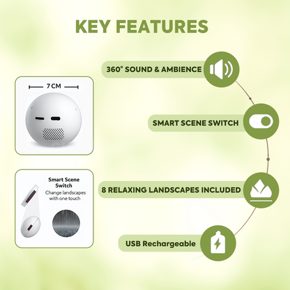 Quiet Your Mind, Sleep Deep All Night - Anxiety Relief Sleep Aid