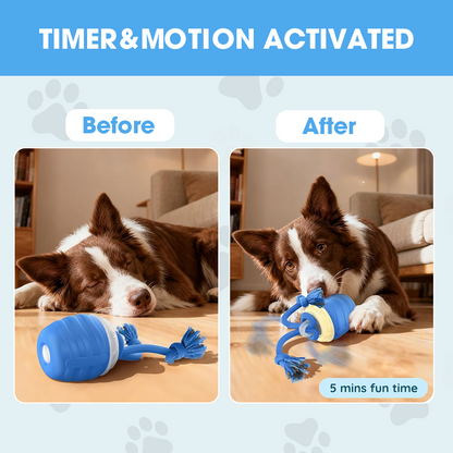 Smart Dog Toy That Keeps Your Best Friend Company