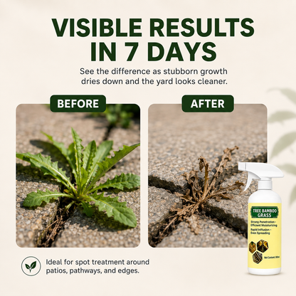 2026 SALE - Fast-Acting Natural Weed & Grass Killer Spray
