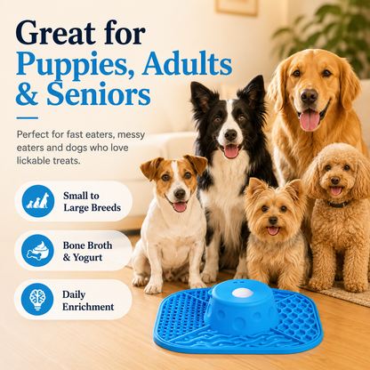 🐶 Slow Feeder Licking Bowl – Anti-Slip,3/4 Cup, Dishwasher Safe