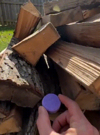 Pest-prone outdoor area