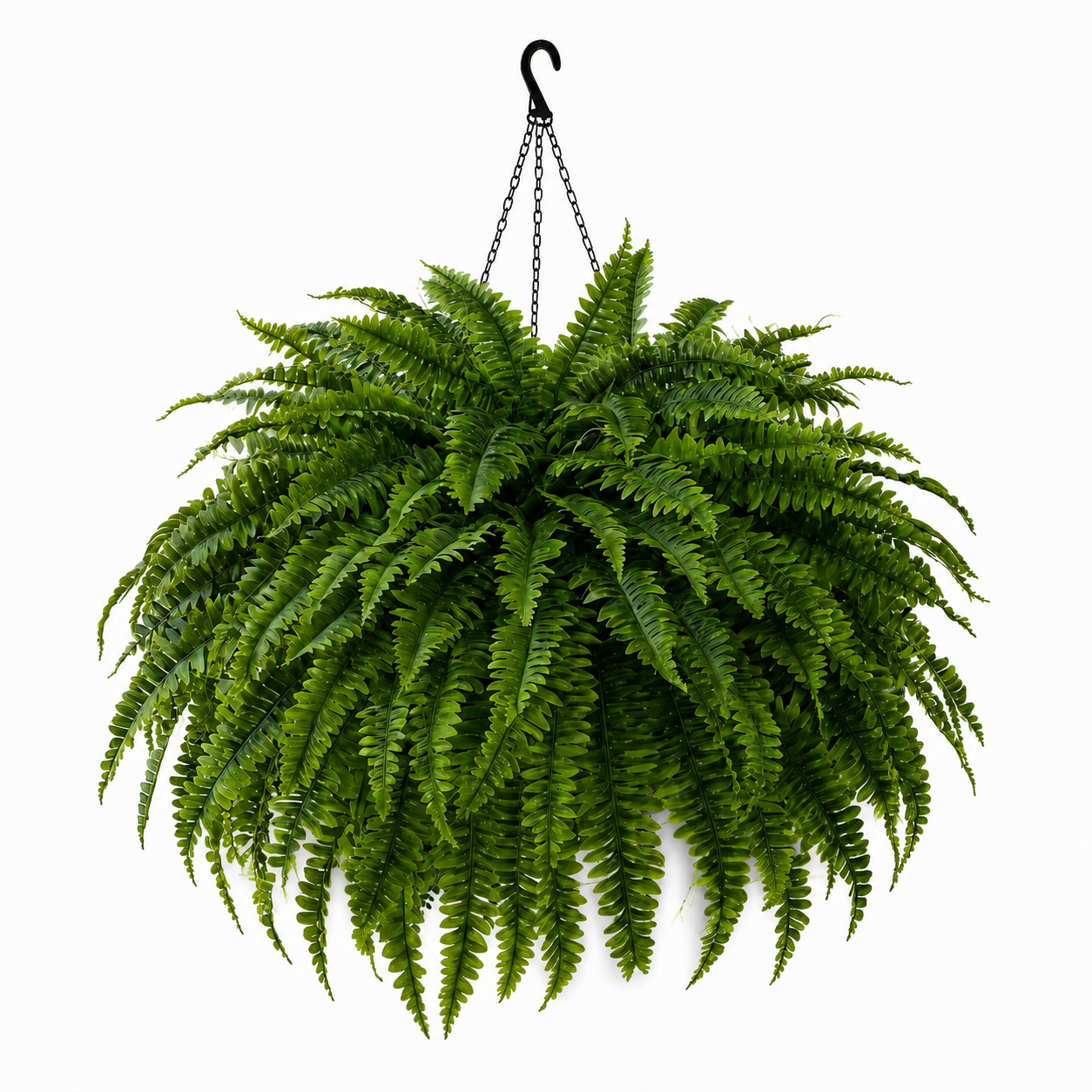 Oversized Pre-Lit Artificial Boston Ferns - No watering, No fading