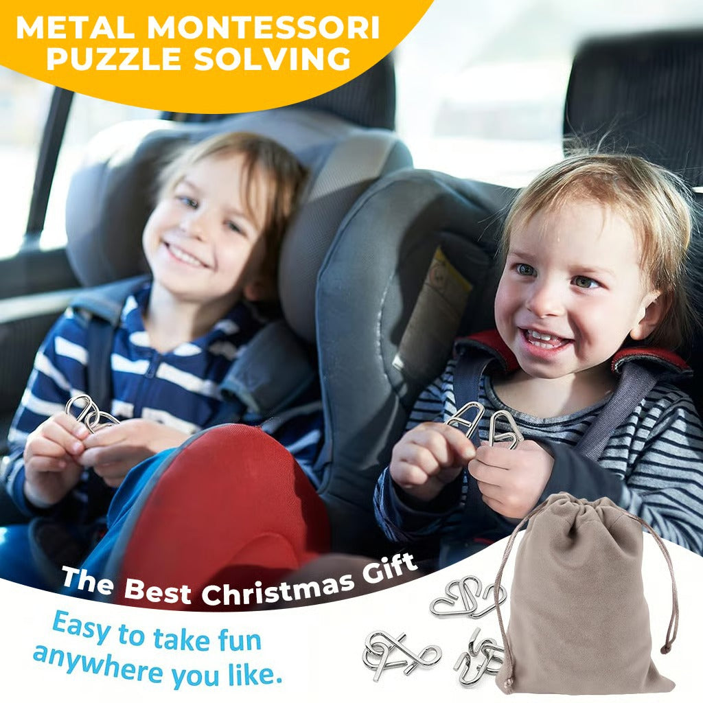 Metal Montessori Puzzle Solving