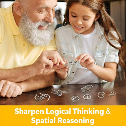 Metal Montessori Puzzle Solving