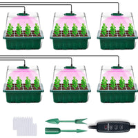 Best Value - Buy 6 PCS